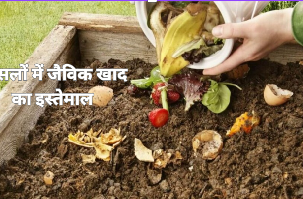 जैविक खाद