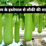 PSPL लौकी किस्म