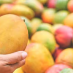 Mangoes