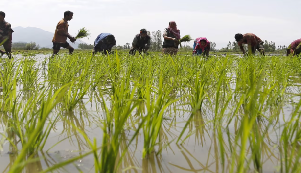 बाराबंकी में एग्री उद्योग को मिलेगा बढ़ावा
