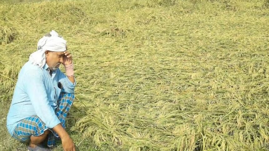 Pareshaan Kisaan