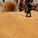 केंद्र सरकार का बड़ा फैसला — गेहूं की स्टॉक सीमा घटाकर महंगाई पर लगाम लगाने की तैयारी, उपभोक्ताओं को सस्ते दाम पर गेहूं उपलब्ध कराने की कोशिश।