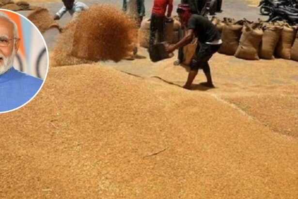 केंद्र सरकार का बड़ा फैसला — गेहूं की स्टॉक सीमा घटाकर महंगाई पर लगाम लगाने की तैयारी, उपभोक्ताओं को सस्ते दाम पर गेहूं उपलब्ध कराने की कोशिश।