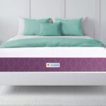 Sleepwell ब्रांड की संस्थापक शीला गौतम और स्लीपवेल साम्राज्य की सफलता की कहानी