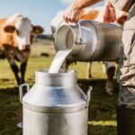 India का डेयरी सेक्टर और बढ़ता दूध उत्पादन