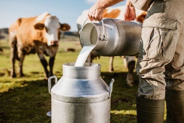 India का डेयरी सेक्टर और बढ़ता दूध उत्पादन