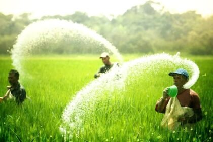 किसान खेत में जैव उर्वरक का छिड़काव करते हुए — पर्यावरण अनुकूल खेती का प्रतीक