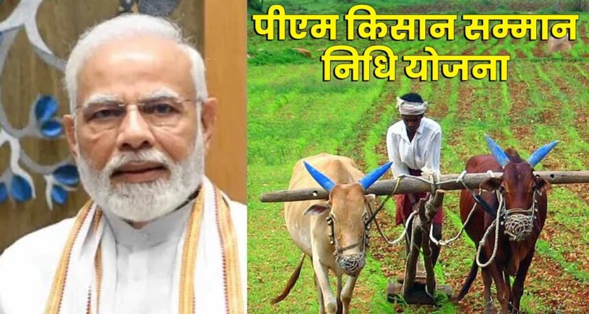 PM Kisan Yojana 21वीं किस्त 2025 अपडेट, किसानों को 19 नवंबर को ₹2,000 की सहायता राशि