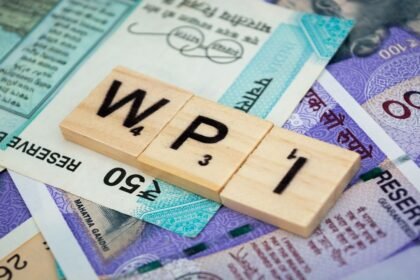 October 2025 WPI inflation data chart showing decline in wholesale prices and trends across primary articles, fuel, power and manufactured goods