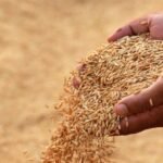 योगी सरकार का फैसला – चावल मिलों को 1% रिकवरी छूट, किसानों की आमदनी बढ़ेगी