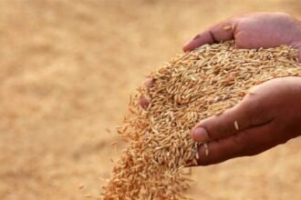 योगी सरकार का फैसला – चावल मिलों को 1% रिकवरी छूट, किसानों की आमदनी बढ़ेगी