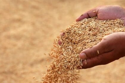 योगी सरकार का फैसला – चावल मिलों को 1% रिकवरी छूट, किसानों की आमदनी बढ़ेगी