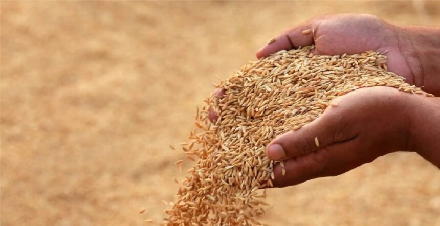 योगी सरकार का फैसला – चावल मिलों को 1% रिकवरी छूट, किसानों की आमदनी बढ़ेगी