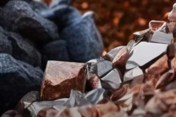 भारत में नई EV मोटर तकनीक – फेराइट और रिलक्टेंस मोटर विकास परियोजना