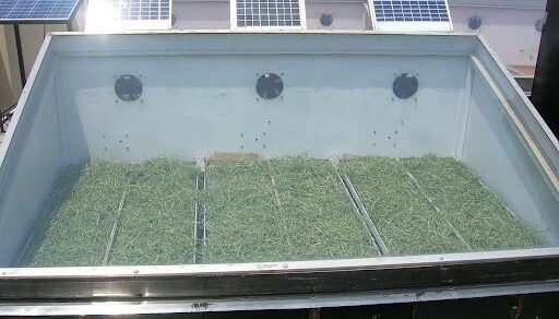 किसानों के लिए Solar Dryer सब्सिडी योजना – सब्जियों और फलों को सोलर ऊर्जा से सुखाने की नई तकनीक