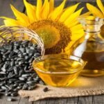 Russian Oil Impact in India | रूस का बढ़ता प्रभाव भारत की रसोई तक | Sunflower Oil Trade 2025