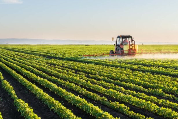 भारत में 2025 की रिकॉर्ड फसल और 2026 की कृषि नीतियों से जुड़ी खेती की दिशा दर्शाती तस्वीर