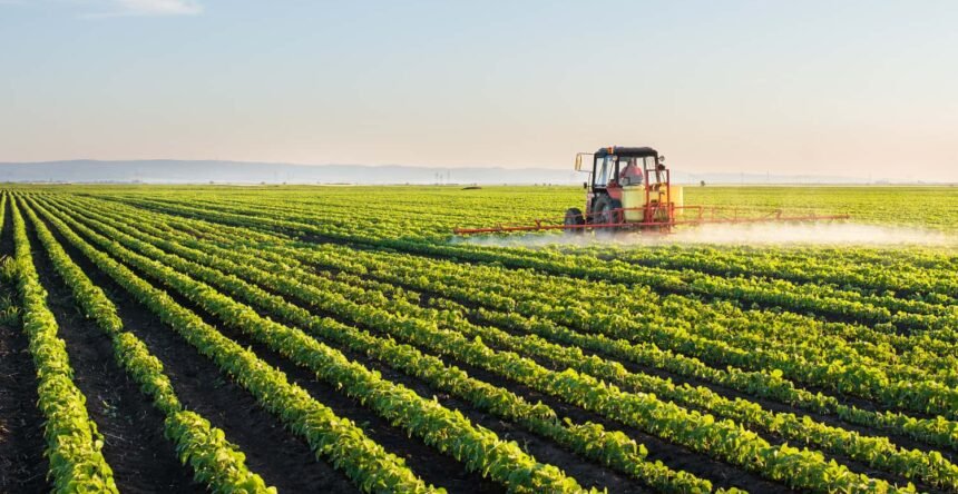 भारत में 2025 की रिकॉर्ड फसल और 2026 की कृषि नीतियों से जुड़ी खेती की दिशा दर्शाती तस्वीर