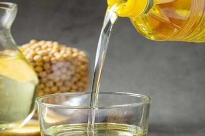 NMEO India Oilseed Revolution, बढ़ता तिलहन उत्पादन, पाम ऑयल विस्तार और भारत की खाद्य तेल आत्मनिर्भरता मिशन से जुड़ी इन्फोग्राफिक।