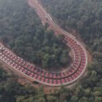 Red Table Top Marking on Bhopal Jabalpur Highway to protect wildlife