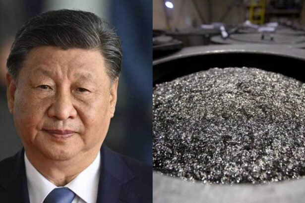 भारत के ऑटो और EV उद्योग के लिए चीन द्वारा रेयर अर्थ मैग्नेट आयात लाइसेंस की शुरुआत