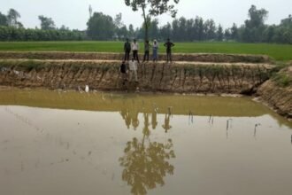सरकारी सब्सिडी से खेत में बना तालाब और उसमें की जा रही मोती की खेती