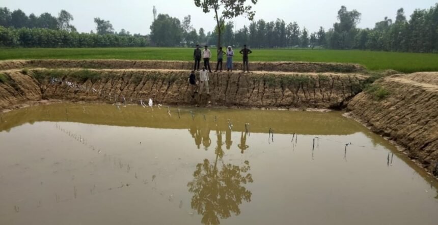 सरकारी सब्सिडी से खेत में बना तालाब और उसमें की जा रही मोती की खेती