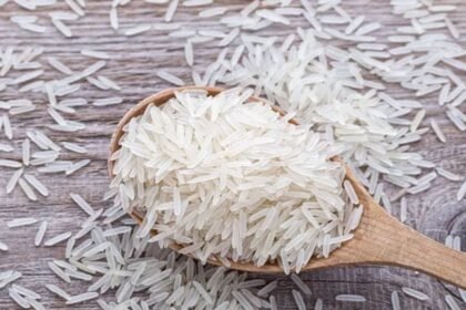 Indian basmati rice cultivation from farm to global market