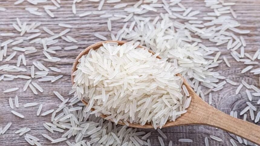 Indian basmati rice cultivation from farm to global market