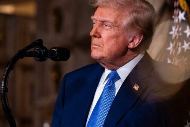 Donald Trump immigration policy impact on immigrants legal status in America