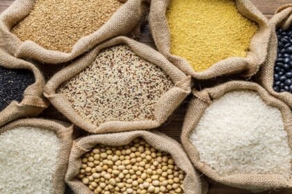 Seed Bill 2025 के तहत नकली बीजों पर रोक और किसानों की सुरक्षा से जुड़ी सरकारी पहल