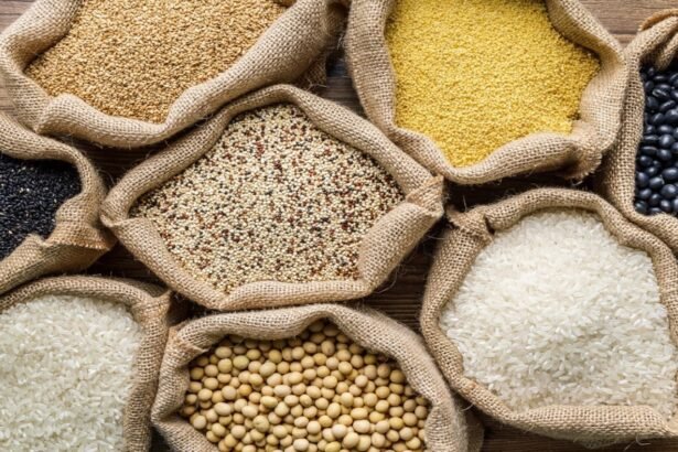 Seed Bill 2025 के तहत नकली बीजों पर रोक और किसानों की सुरक्षा से जुड़ी सरकारी पहल