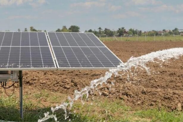 PM Kusum C-1 Scheme के तहत खेत में लगे सोलर पैनल से सिंचाई और बिजली उत्पादन करता किसान