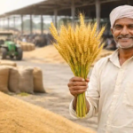 मध्य प्रदेश में MSP ₹2585 पर गेहूं खरीदी के लिए किसान पंजीयन जानकारी