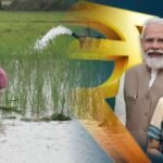 Budget 2026 में पशुपालकों के लिए सरकार की बड़ी घोषणा, गांवों में पशु इलाज और 20 हजार पशु डॉक्टर की योजना