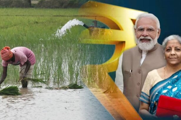 Budget 2026 में पशुपालकों के लिए सरकार की बड़ी घोषणा, गांवों में पशु इलाज और 20 हजार पशु डॉक्टर की योजना