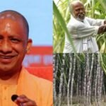 UP Budget 2026-27 में गन्ना किसानों के लिए ₹30 प्रति क्विंटल बढ़ोतरी की घोषणा