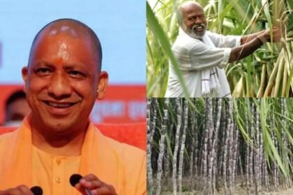 UP Budget 2026-27 में गन्ना किसानों के लिए ₹30 प्रति क्विंटल बढ़ोतरी की घोषणा