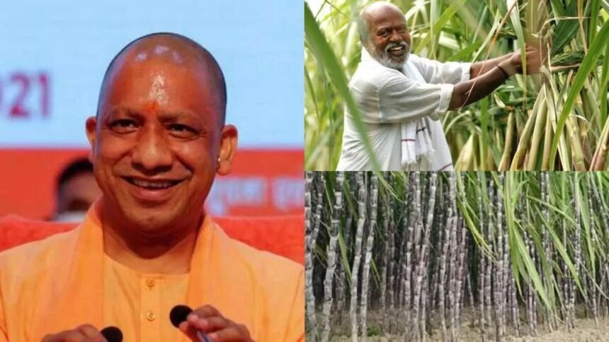 UP Budget 2026-27 में गन्ना किसानों के लिए ₹30 प्रति क्विंटल बढ़ोतरी की घोषणा
