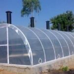 Bihar agriculture scheme solar crop dryer subsidy farmers reduce crop loss