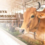 Rashtriya Gokul Mission के तहत देशी गायों की नस्ल सुधार और डेयरी सेक्टर में बढ़ती आय का दृश्य