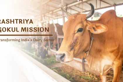 Rashtriya Gokul Mission के तहत देशी गायों की नस्ल सुधार और डेयरी सेक्टर में बढ़ती आय का दृश्य