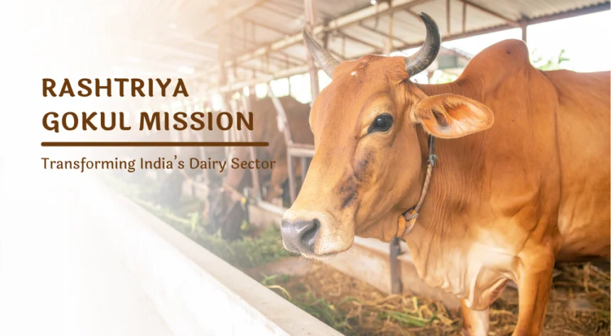 Rashtriya Gokul Mission के तहत देशी गायों की नस्ल सुधार और डेयरी सेक्टर में बढ़ती आय का दृश्य