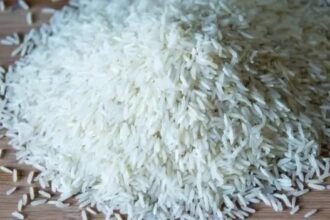 Iran crisis के कारण भारतीय बासमती चावल निर्यातकों को लॉजिस्टिक्स और शिपिंग संकट का सामना