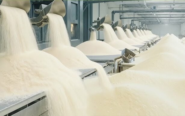 Sugar industry को राहत, सरकार ने बढ़ाया एक्सपोर्ट कोटा, शेयरों में तेजी