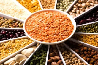 Summer crop sowing 2026 India with farmers in field and pulse crops cultivation