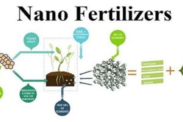 Nano fertilizer के परीक्षण और रिसर्च के बाद खेत में उर्वरक का उपयोग करते किसान