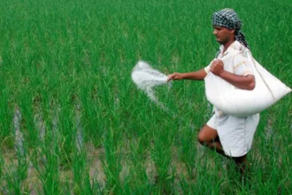 **Alt Text:** Farmer spreading fertilizer in a green खेत during Kharif season 2026, symbolizing government subsidy support for agriculture