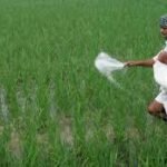 पश्चिम एशिया संकट का असर भारत पर, बढ़ सकता है Fertiliser Subsidy Bill