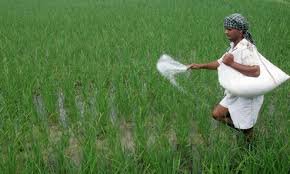 पश्चिम एशिया संकट का असर भारत पर, बढ़ सकता है Fertiliser Subsidy Bill